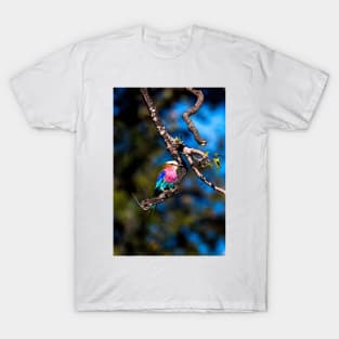 Beautiful bird T-Shirt